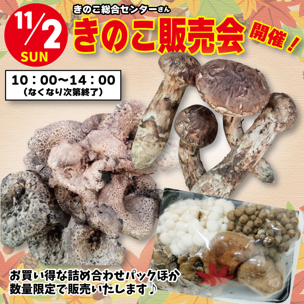 11/2(日)きのこ販売会開催!